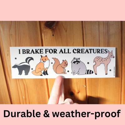 Bumper Stickers collection