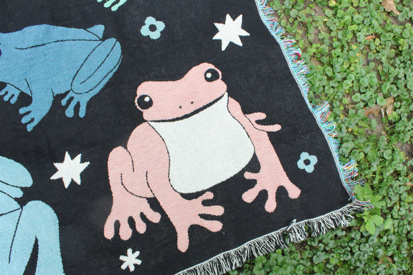Frog Blanket