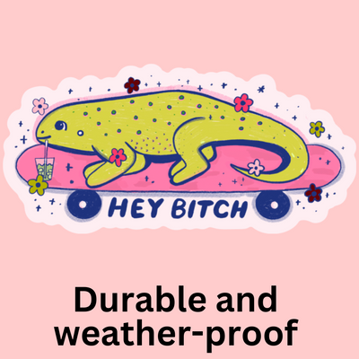 Bumper Stickers collection