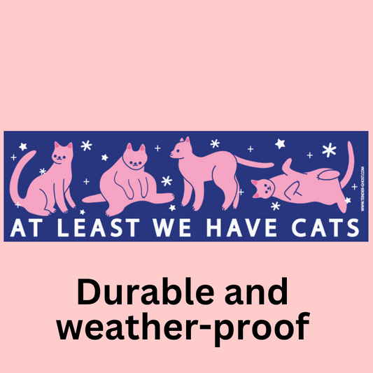 We Have Cats Bumper Sticker