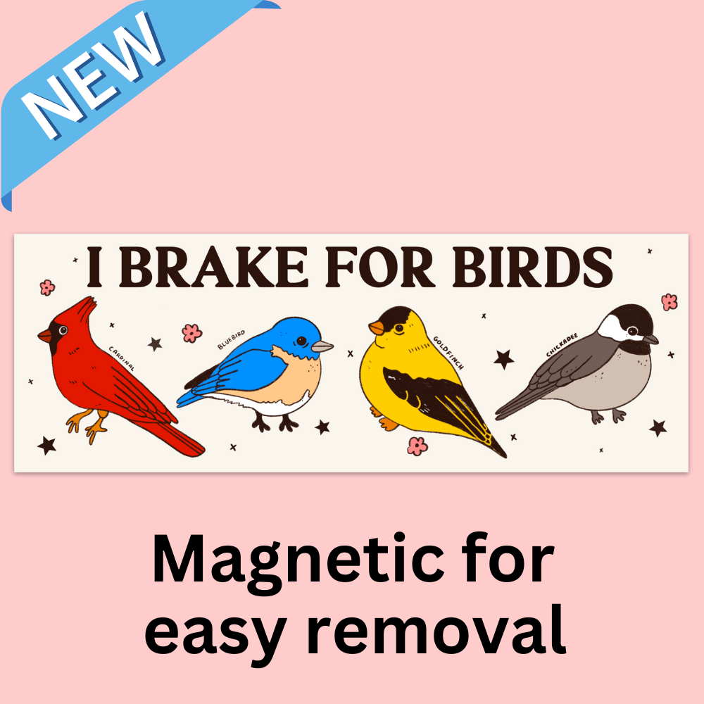 I Brake For Birds Bumper Magnet