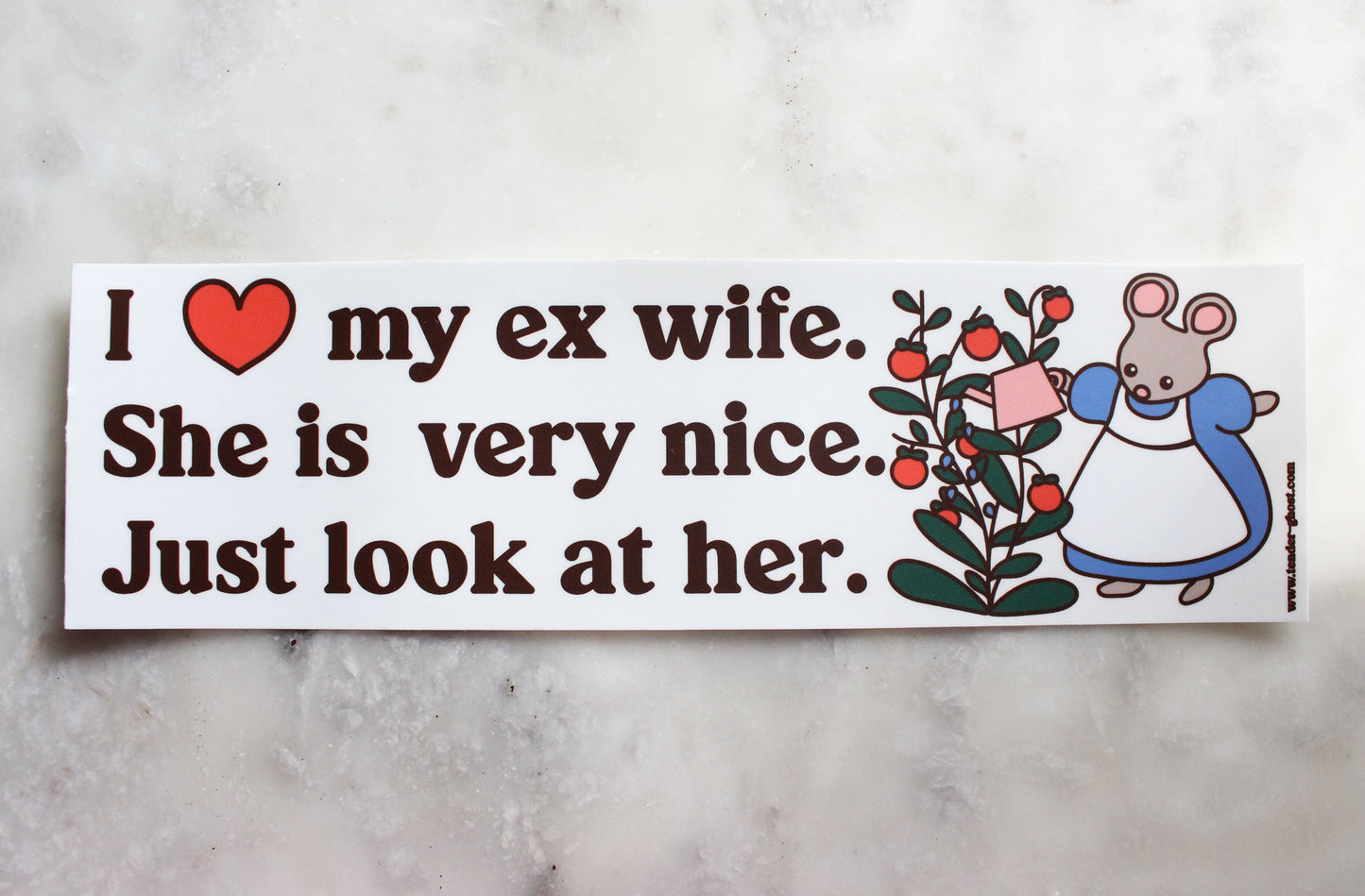 I Love My Ex Wife Bumper Sticker