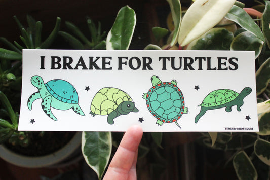I Brake For Turtles Bumper Sticker